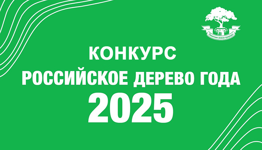 Объявления НИУ «БелГУ» конкурс «российское дерево года»