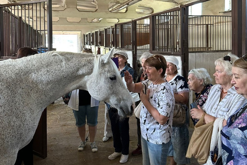 События НИУ «БелГУ» в конноспортивной школе состоялись две необычные экскурсии