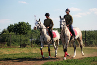 Университетские конники на празднике «Слобода Мастеровая»