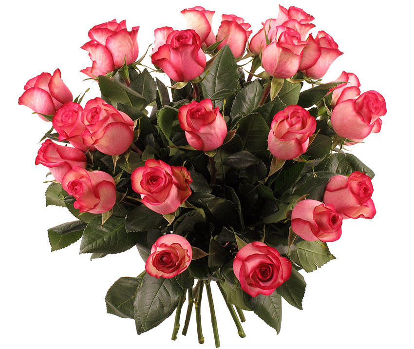 Поздравления НИУ «БелГУ» Коллектив НИУ «БелГУ» поздравляет с юбилеем Марину Васильевну Мархгейм