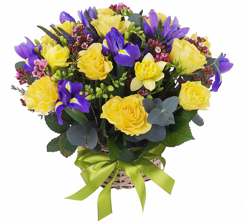 Поздравления НИУ «БелГУ» Коллектив НИУ «БелГУ» поздравляет с юбилеем Сергея Николаевича Мамина