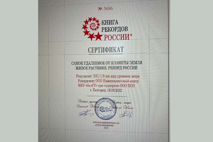 События НИУ «БелГУ» запущенная в космос белгородскими учёными сирень установила рекорд россии