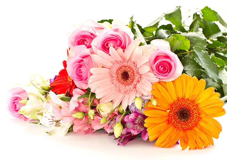 Поздравления НИУ «БелГУ» Коллектив НИУ «БелГУ» поздравляет с юбилеем Наталию Витальевну Михелеву