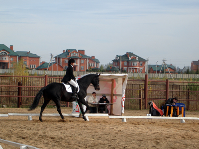 События НИУ «БелГУ» победы учениц конноспортивной школы