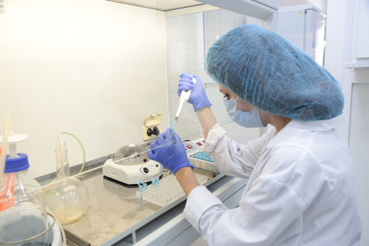 События НИУ «БелГУ» исследованиями учёных-генетиков ниу «белгу» заинтересовались аграрии страны