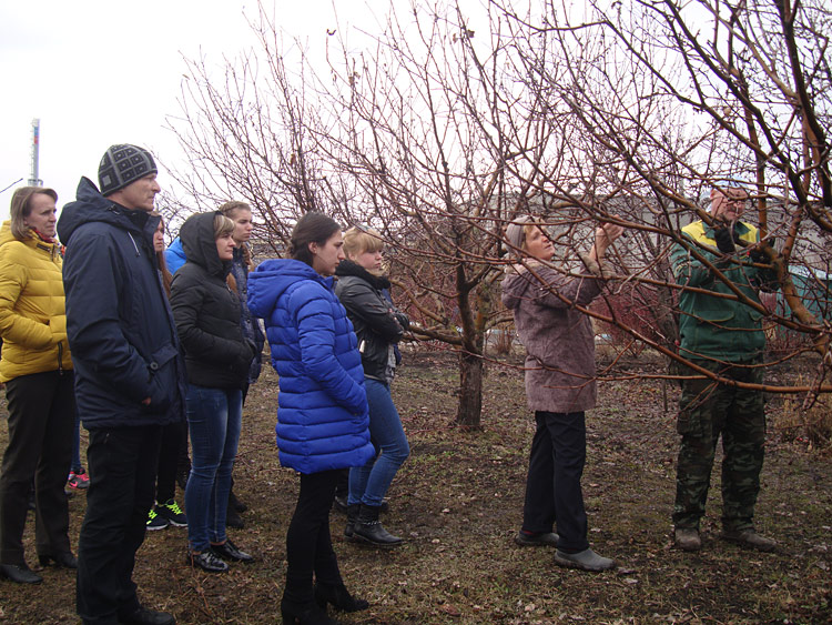 Объявления НИУ «БелГУ» <a href="https://botanicgarden.bsuedu.ru/2021/02/odnodnevnye-shkoly-seminary-dlya-sadovodov-lyubitelej-5/" target="_blank">однодневные школы-семинары для садоводов-любителей</a>
