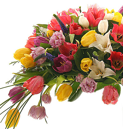 Поздравления НИУ «БелГУ» Коллектив БелГУ поздравляет заместителя директора Ботанического сада Сорокопудова Владимира Николаевича с юбилеем!