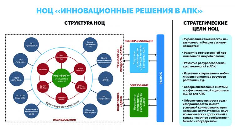 События НИУ «БелГУ» белгородский научно-образовательный центр в числе первых пяти ноц мирового уровня