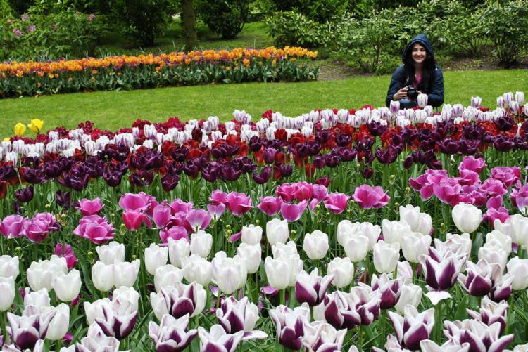 События НИУ «БелГУ» ниу «белгу» развивает сотрудничество с университетом ханзе 