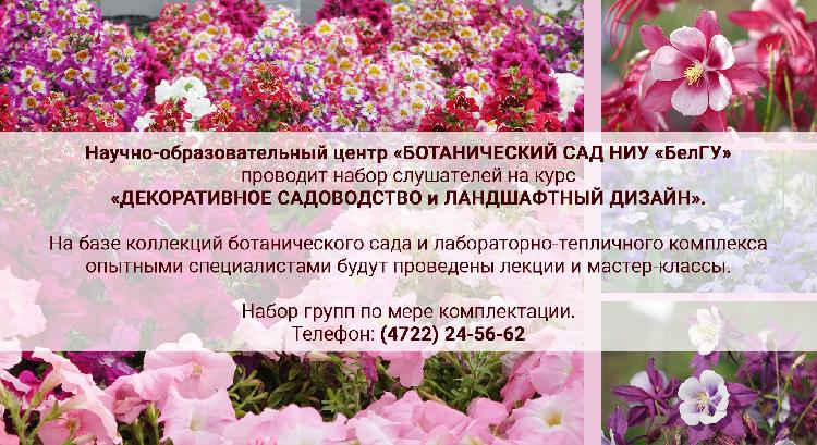 «Декоративное садоводство и ландшафтный дизайн» Объявления НИУ «БелГУ» «декоративное садоводство и ландшафтный дизайн»