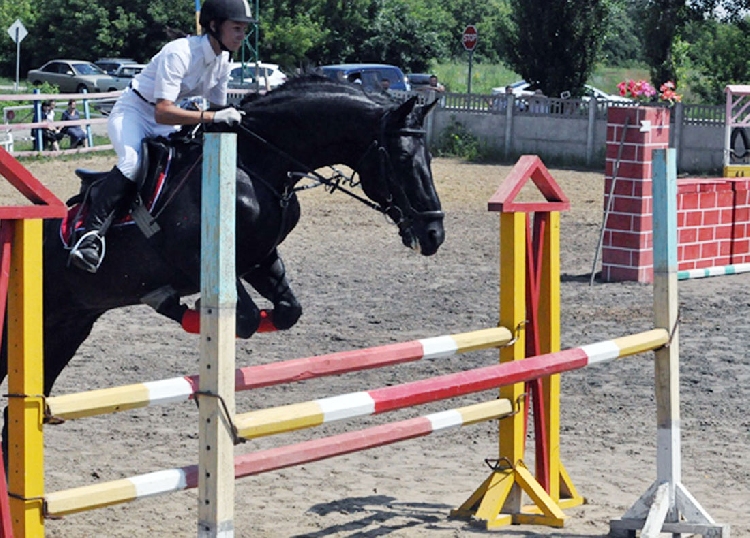 События НИУ «БелГУ» быть на коне