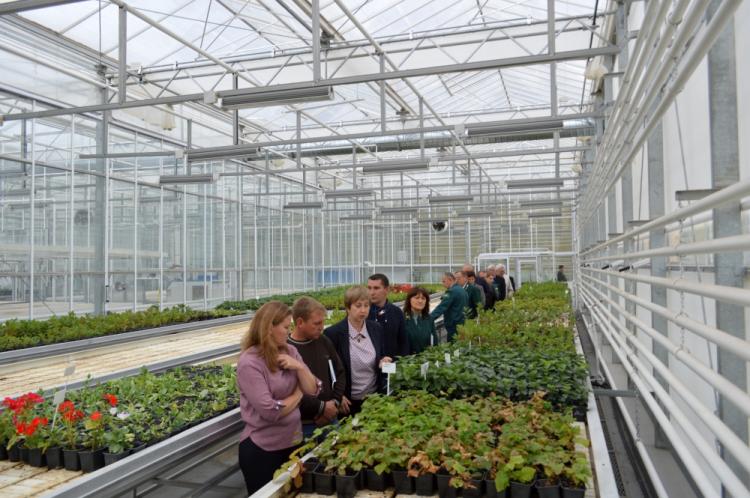 События НИУ «БелГУ» научные методы лаборатории биотехнологии растений помогут практикам