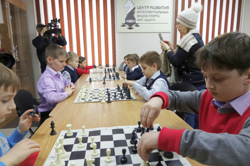 События НИУ «БелГУ» центр развития интеллектуальных видов спорта отмечает свой первый юбилей