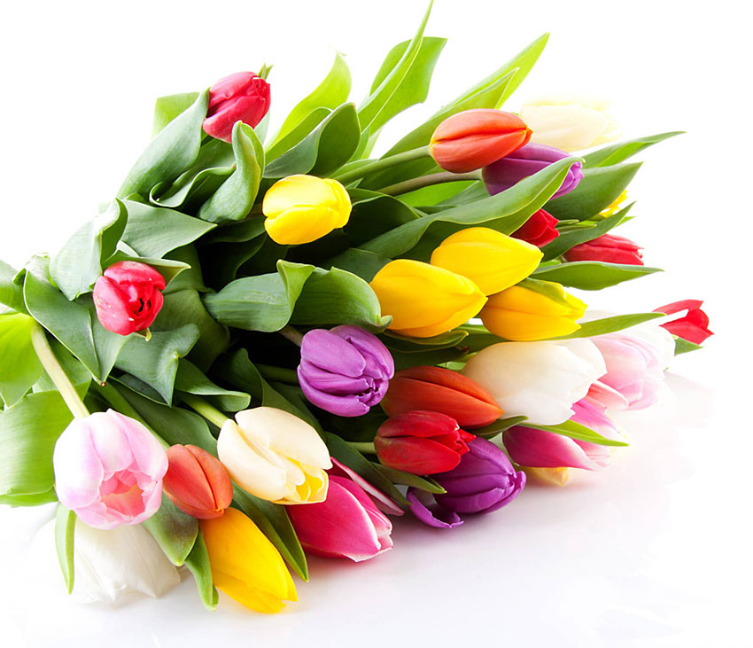 Поздравления НИУ «БелГУ» Коллектив НИУ «БелГУ» поздравляет с юбилеем Викторию Викторовну Чиркову