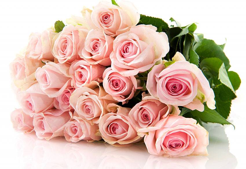 Поздравления НИУ «БелГУ» Коллектив НИУ «БелГУ» поздравляет с юбилеем Тамару Павловну Беликову