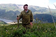 На альпийских лугах