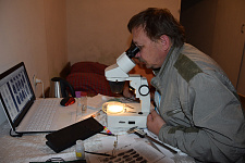 Работа по определению моллюсков